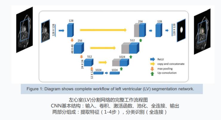 同济大学PPT模板下载攻略