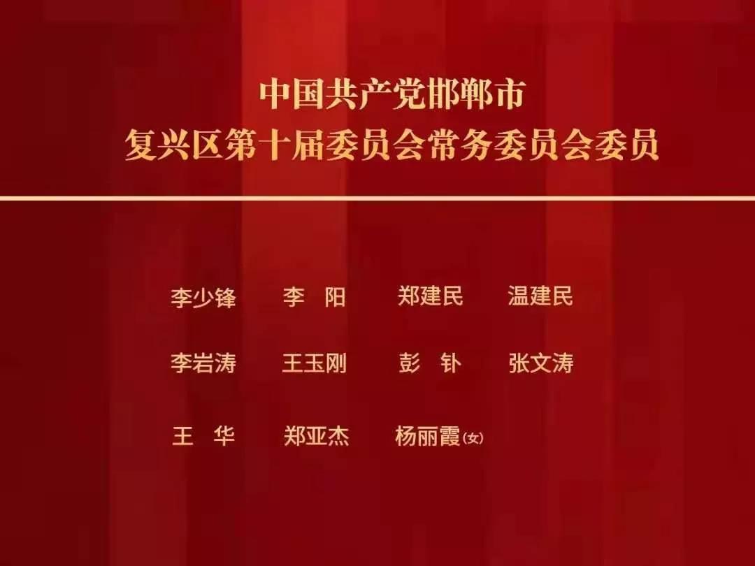 金池村民委员会人事大调整，重塑乡村领导团队，引领村级发展新篇章