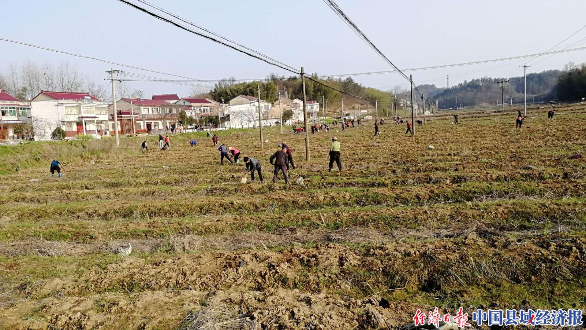 张母桥镇最新项目，地方发展的强大引擎启动在即