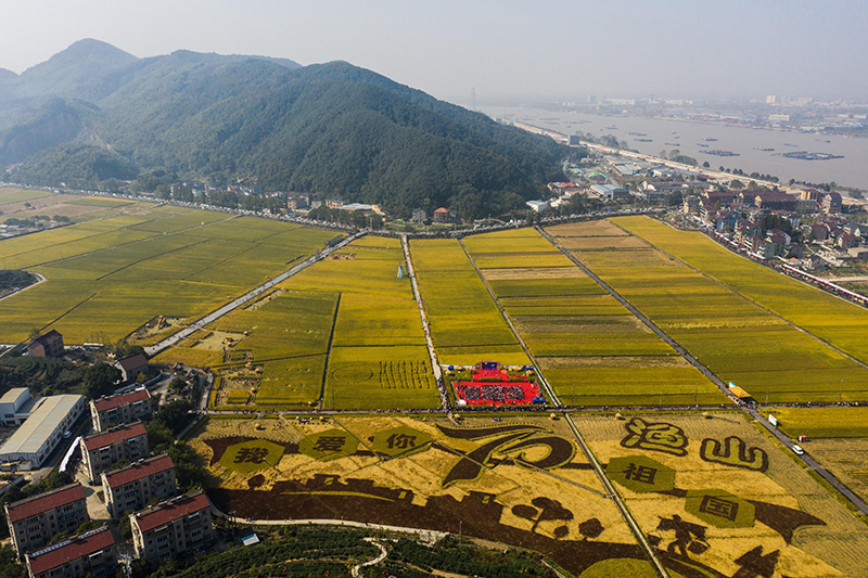 渔山乡交通建设蓬勃发展，最新动态与未来展望